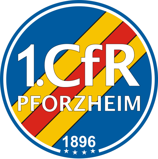Sponsoring Pforzheim Wilddogs