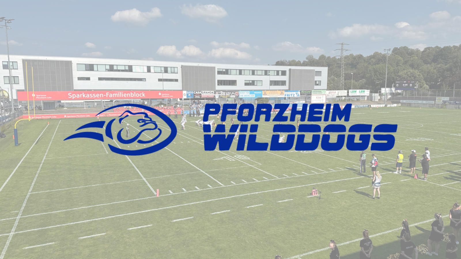 Sponsoring Pforzheim Wilddogs